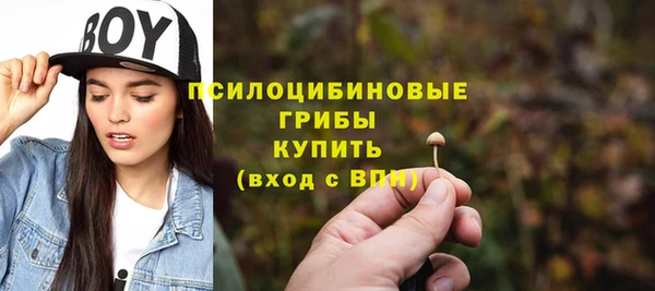 a pvp Протвино
